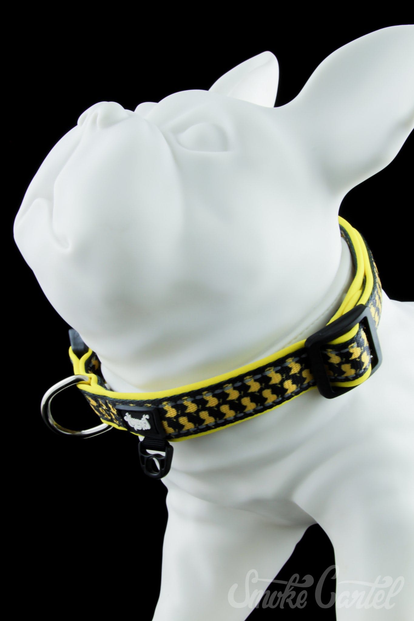 Large / ErrlyBird - HeadyPet Collar V2 - HeadyPet - 