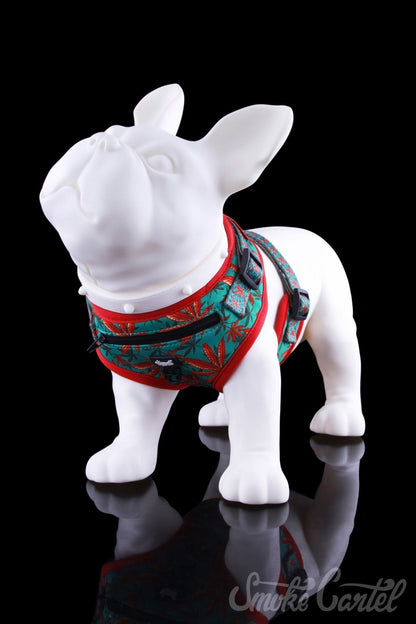 Medium Caribbean Leaf Variant