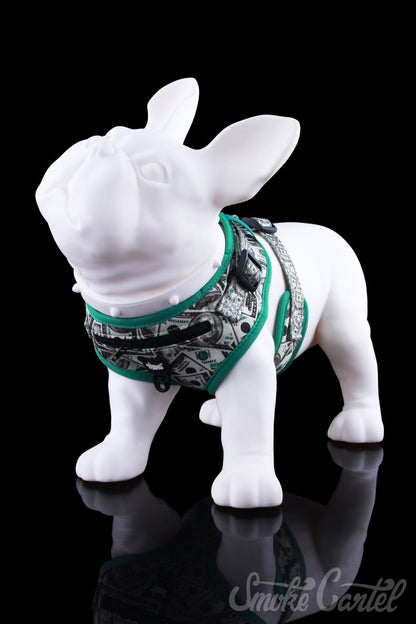 Medium Money Variant