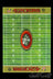 San Francisco 420ers - ErrlyBird Football Silicone Mat - ErrlyBird - - ErrlyBird Football Silicone Mat