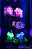 UV Illuminated Workde Details - Empire Glassworks &quot;Bioluminescent Wonderland&quot; Water Pipe