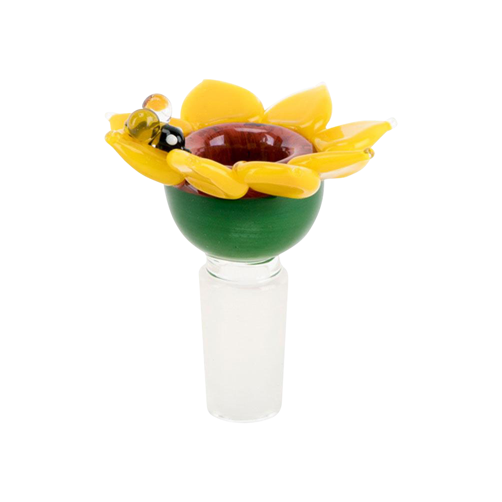 [WHITE][TRANSPARENT]