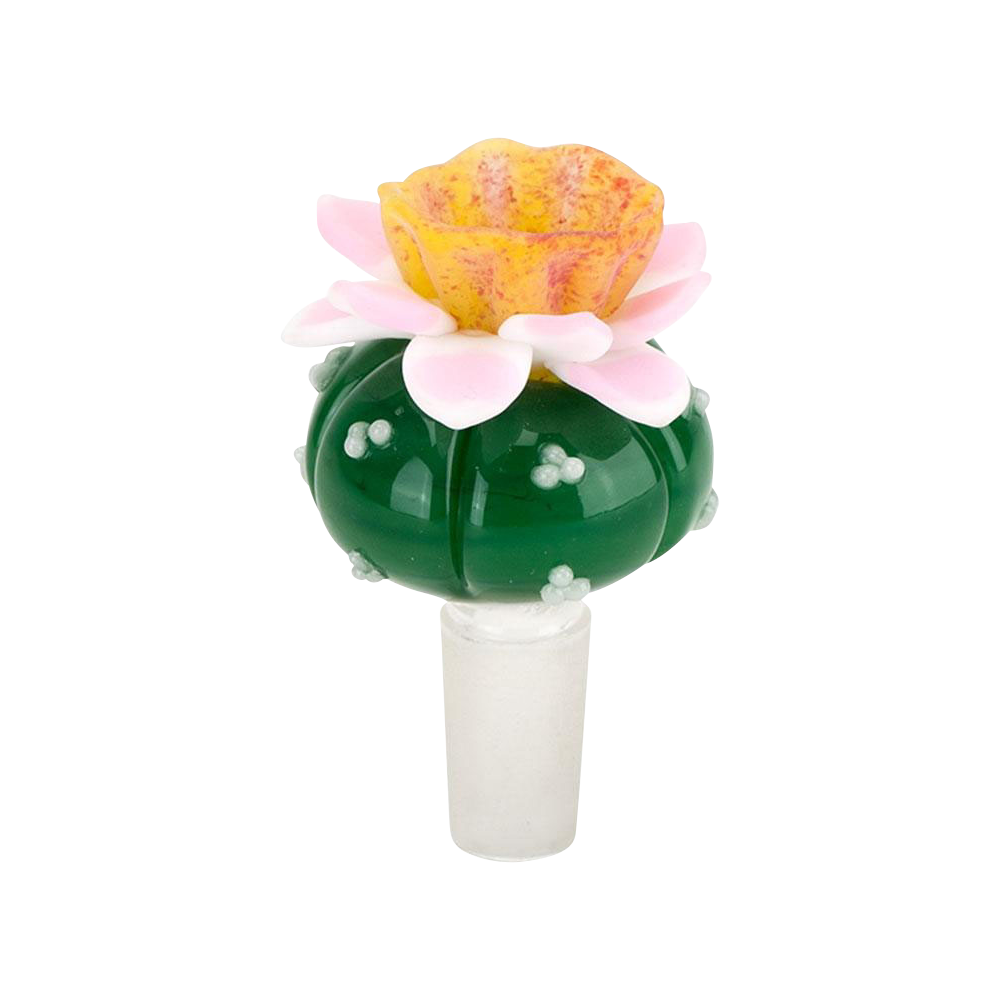 [WHITE][TRANSPARENT]