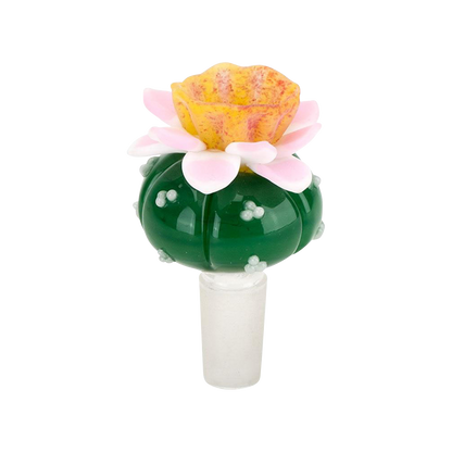 [WHITE][TRANSPARENT]