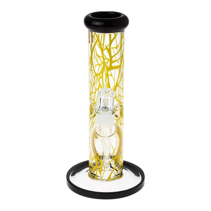 [WHITE][TRANSPARENT]