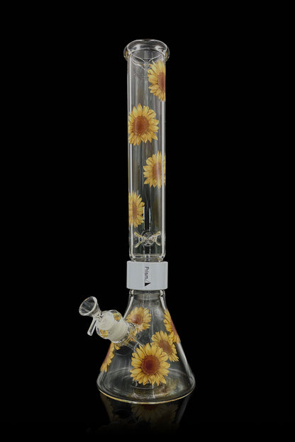 Glass bong with sunflower design against a black background.