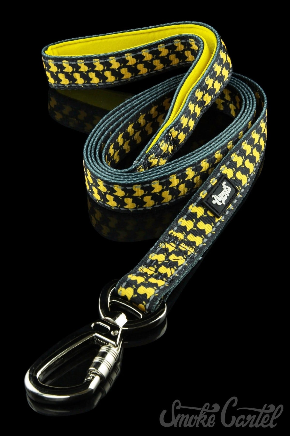 Wide / ErrlyBird - HeadyPet 6 Foot Leash - HeadyPet - 