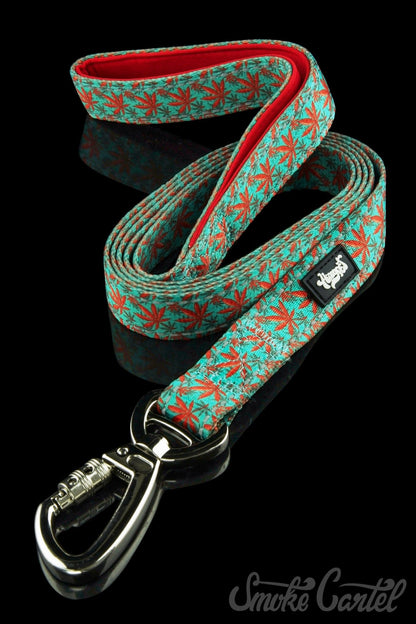 Wide / Caribbean - HeadyPet 6 Foot Leash - HeadyPet - 