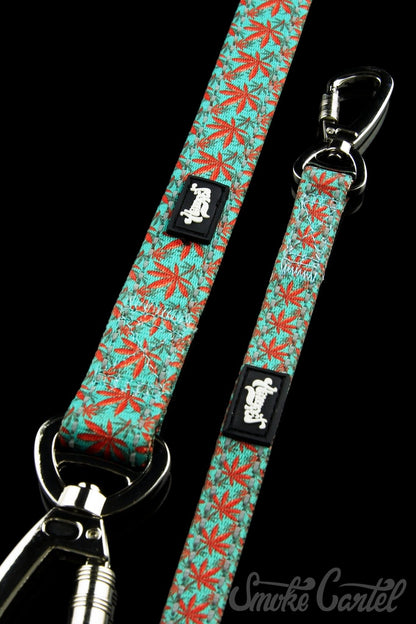Wide / Caribbean - HeadyPet 6 Foot Leash - HeadyPet - 