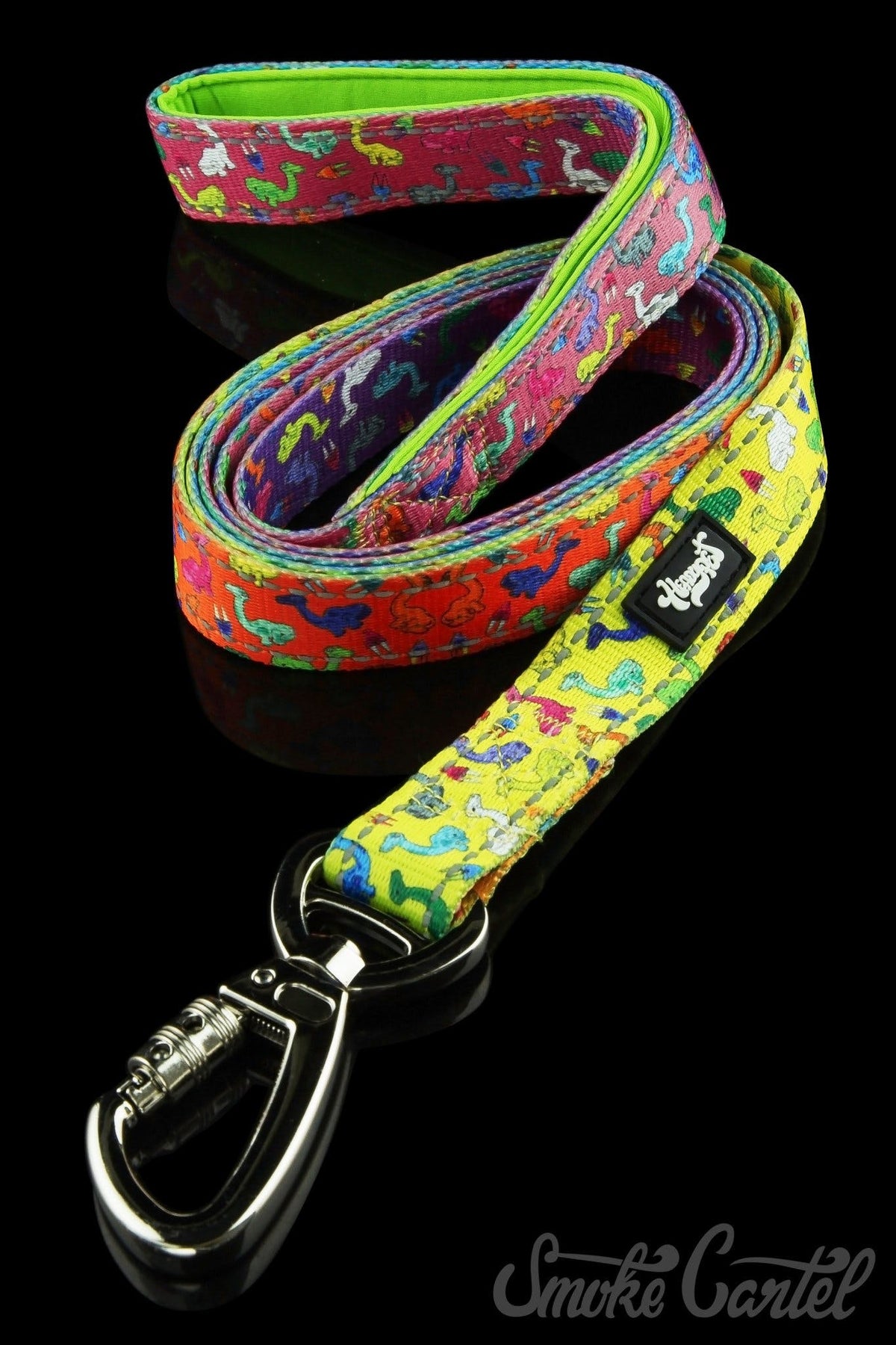 Wide / Dino Life - HeadyPet 6 Foot Leash - HeadyPet - 