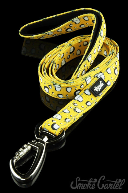 Wide / Shatter - HeadyPet 6 Foot Leash - HeadyPet - 