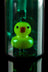 The &quot;Dabbing Ducky&quot; Rubber Ducky Perc Dab Rig - The &quot;Dabbing Ducky&quot; Rubber Ducky Perc Dab Rig