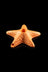 Art of Smoke Starfish Pipe - Art of Smoke Starfish Pipe