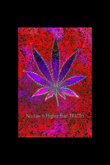 No Law Higher Than Truth Poster