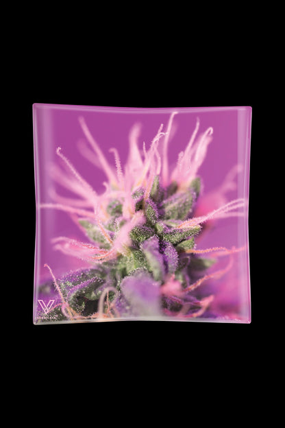 Purple cannabis bud printed on a square glass ashtray.