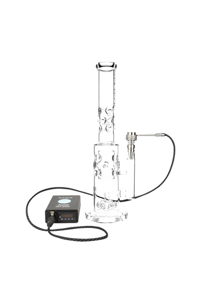 [WHITE][TRANSPARENT]