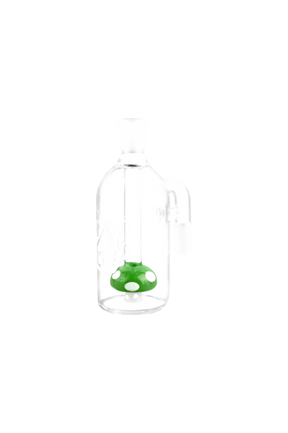 [WHITE][TRANSPARENT]