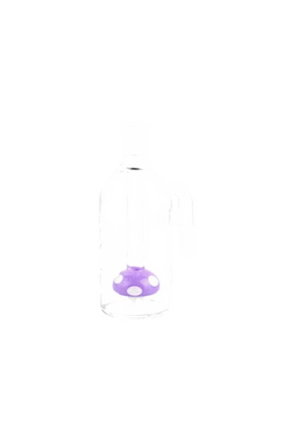 [WHITE][TRANSPARENT]