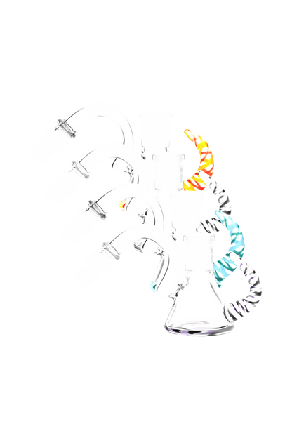 [WHITE][TRANSPARENT]