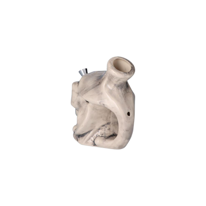 [WHITE][TRANSPARENT]