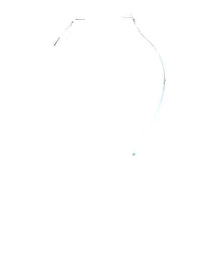 [WHITE][TRANSPARENT]