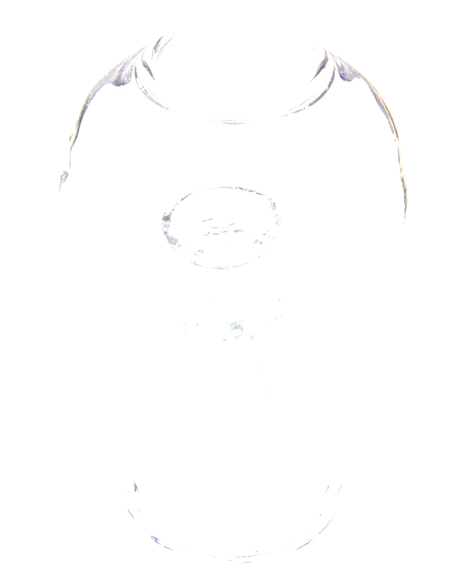 A clear Glass Dome and Nail displayed on a white background with a shallow depth of field.