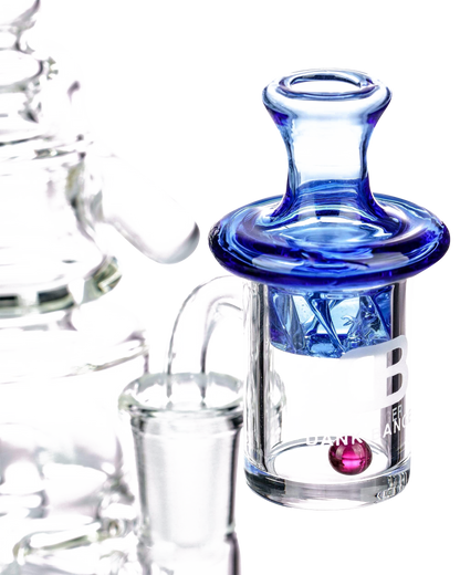 [WHITE][TRANSPARENT]