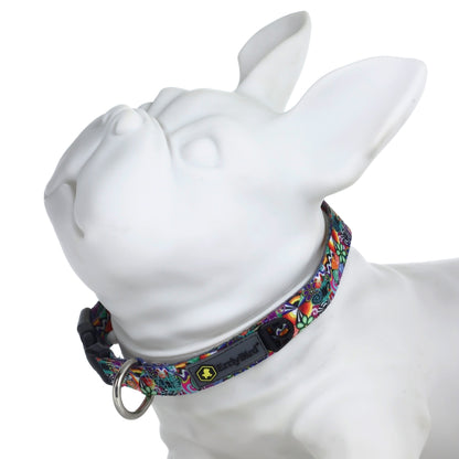 A close-up, angled view showcases the HeadyPet OG Collar, patterned with vibrant colors against a plain white background.